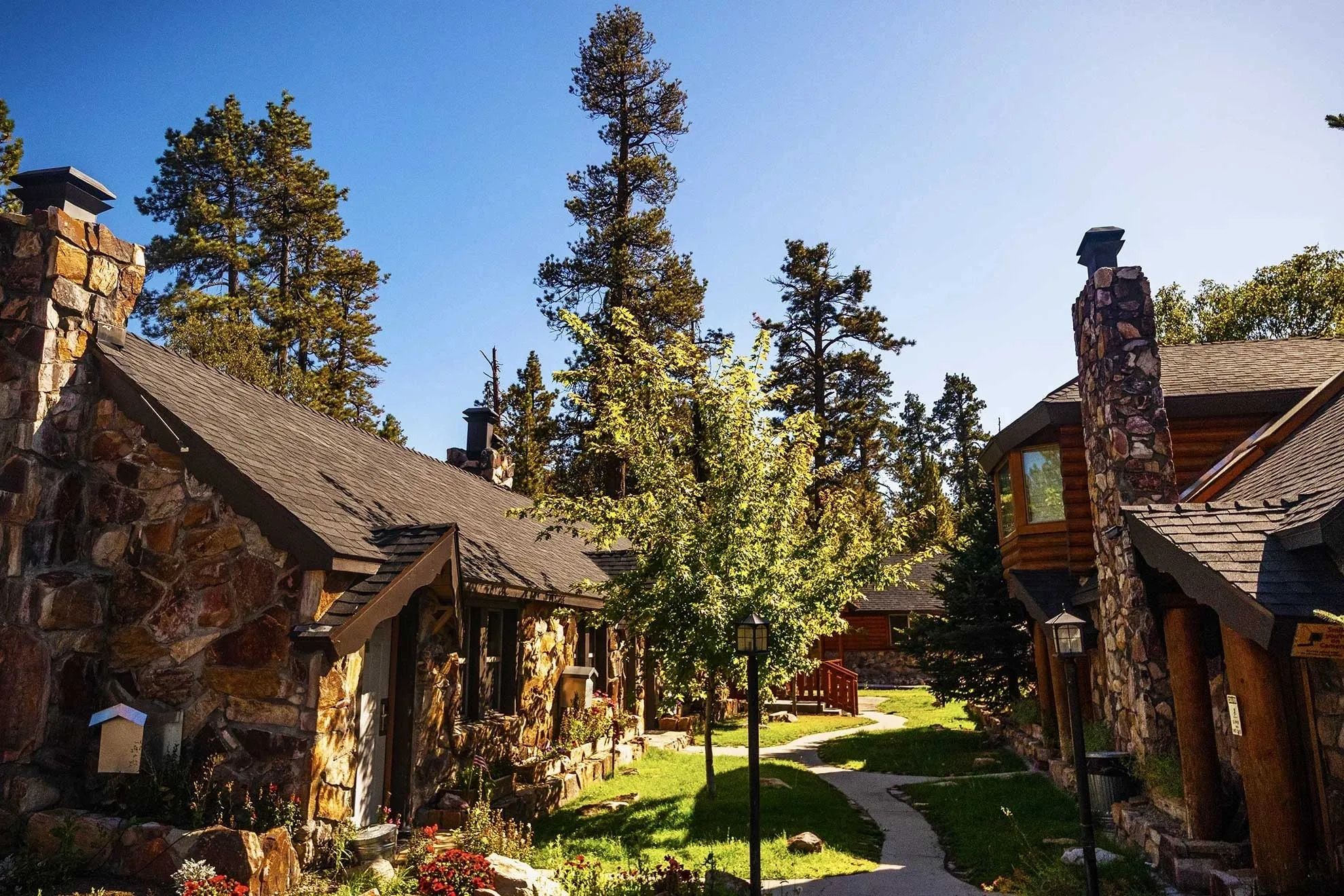 المظهر الخارجي