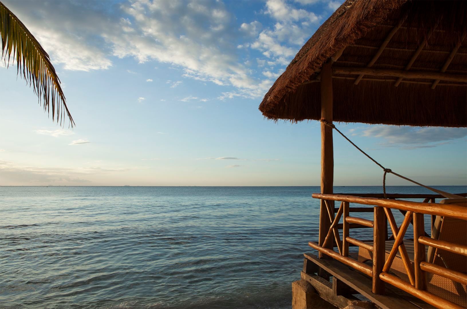 المظهر الخارجي