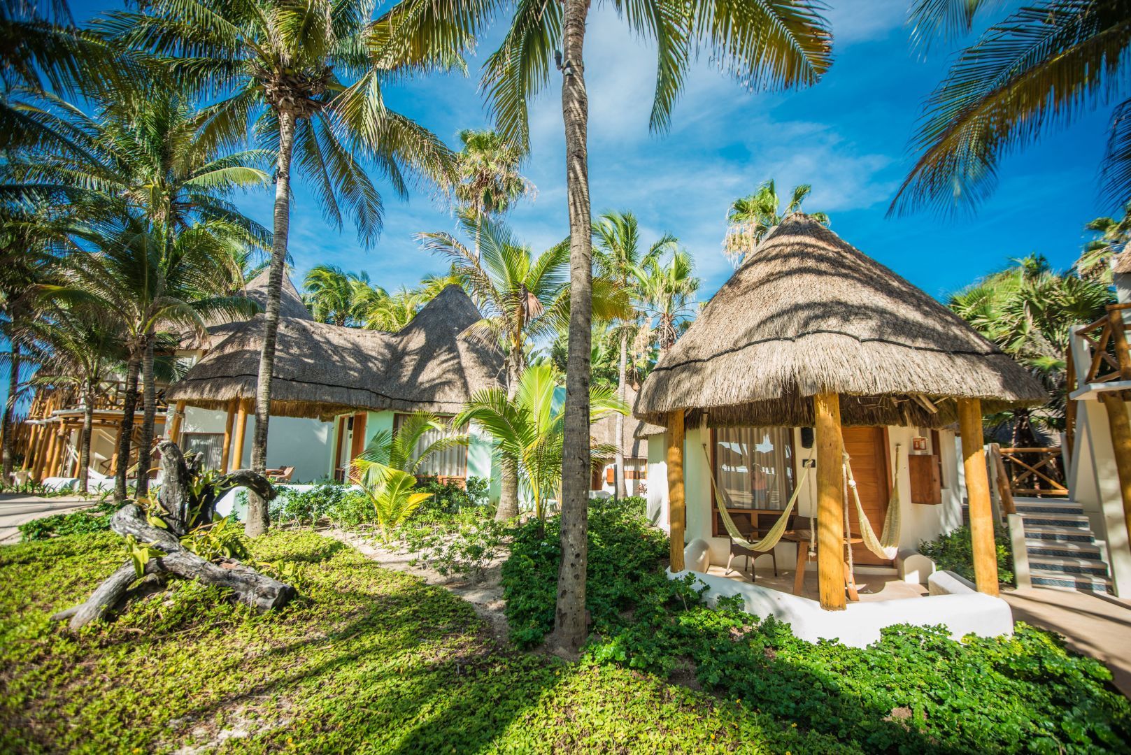 المظهر الخارجي