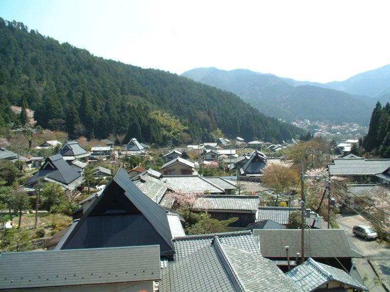 المظهر الخارجي