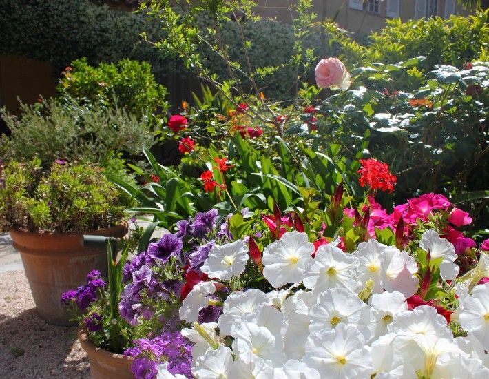 المظهر الخارجي