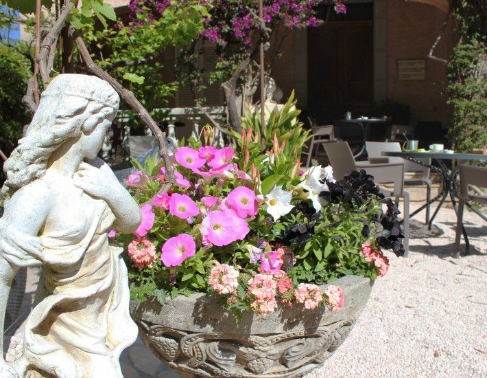 المظهر الخارجي