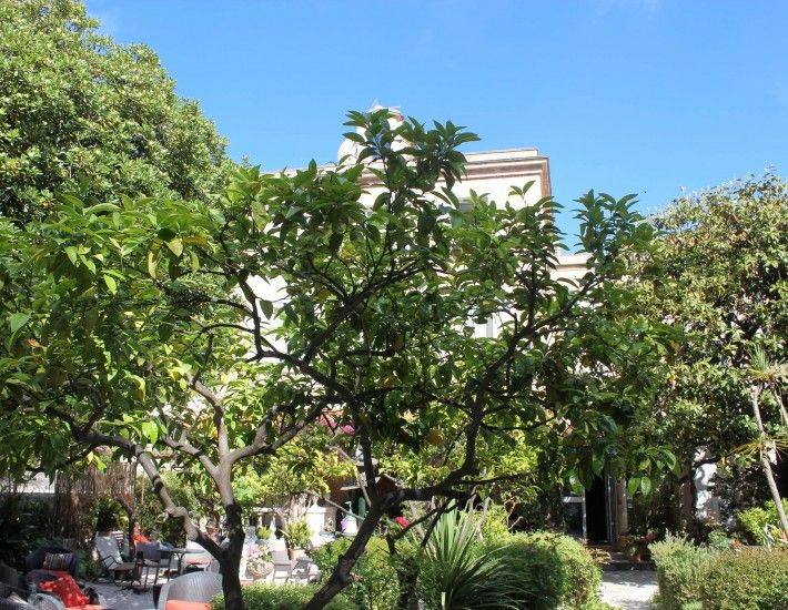 المظهر الخارجي